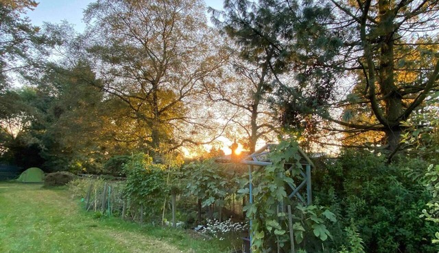 Studio-lickeyhills-nearattractions-garden-1 Pet Ok