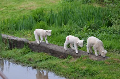 The Linhay