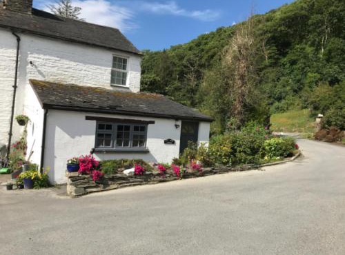 Ty Ffarm, Gogarth