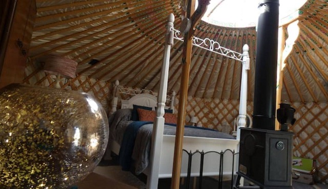Ultimate Luxury Yurt Experience With Firepit- Willow Yurt