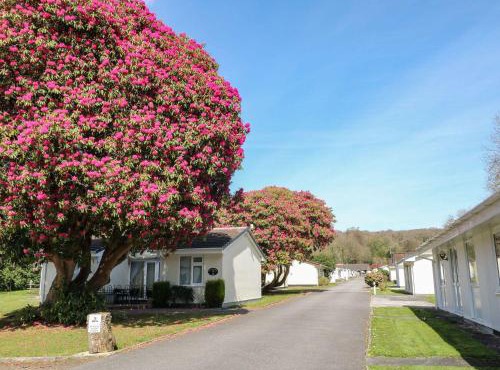 Willow Lodge
