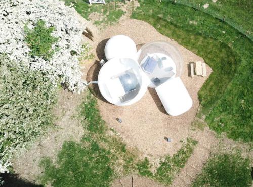 Wooded Bubble