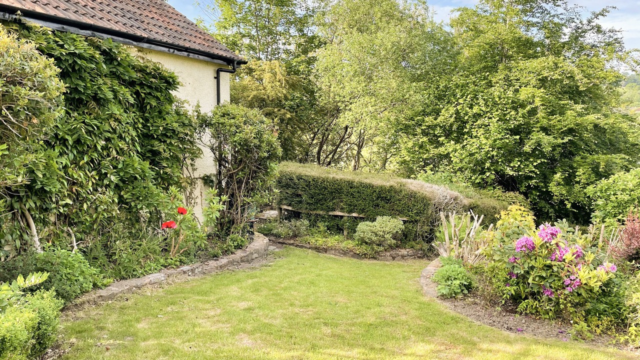 Photo of Outdoor in Brushford