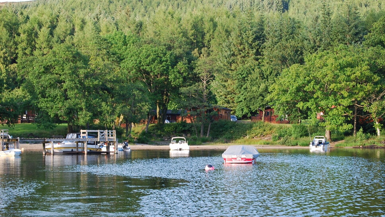 Photo of Others in Rowardennan