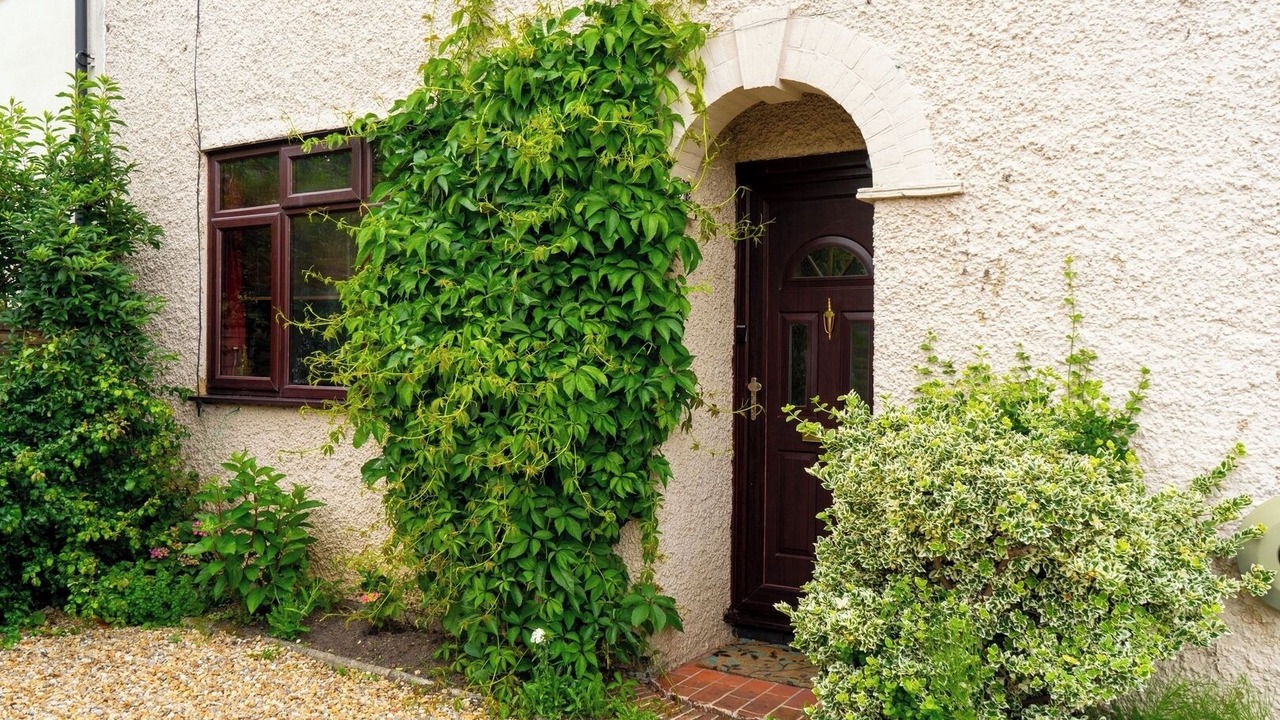 Photo of Outdoor in Chiddingfold