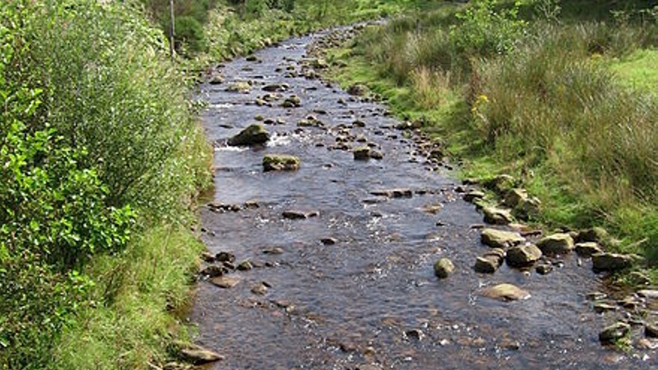 Photo of Others in Padfield