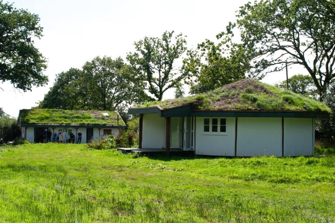 Photo of Others in Chard